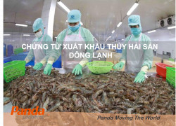 Chứng từ xuất khẩu Thủy Hải Sản đông lạnh